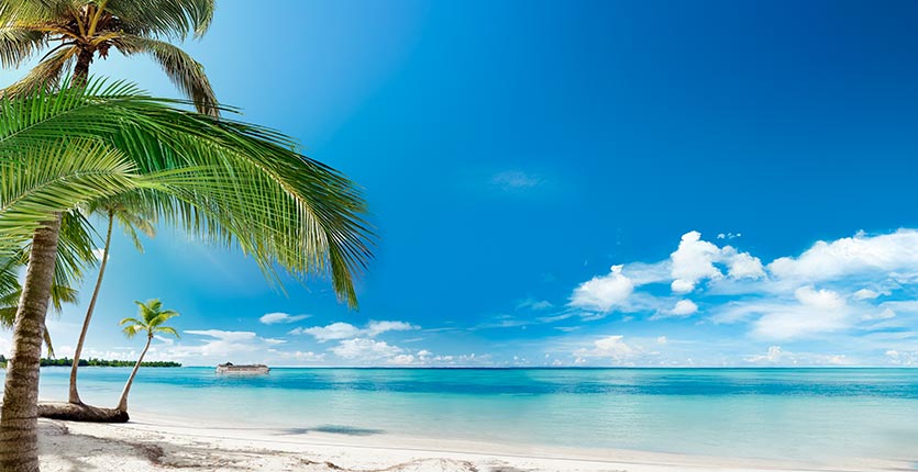 MSC Opera, Caribbean | MSC Cruises MSC Opera, Caribbean | MSC Cruises