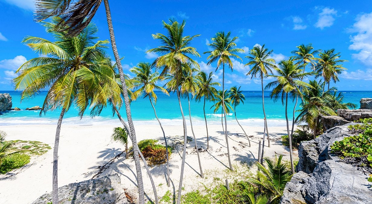 Barbados cruises | MSC Cruises Barbados cruises | MSC Cruises
