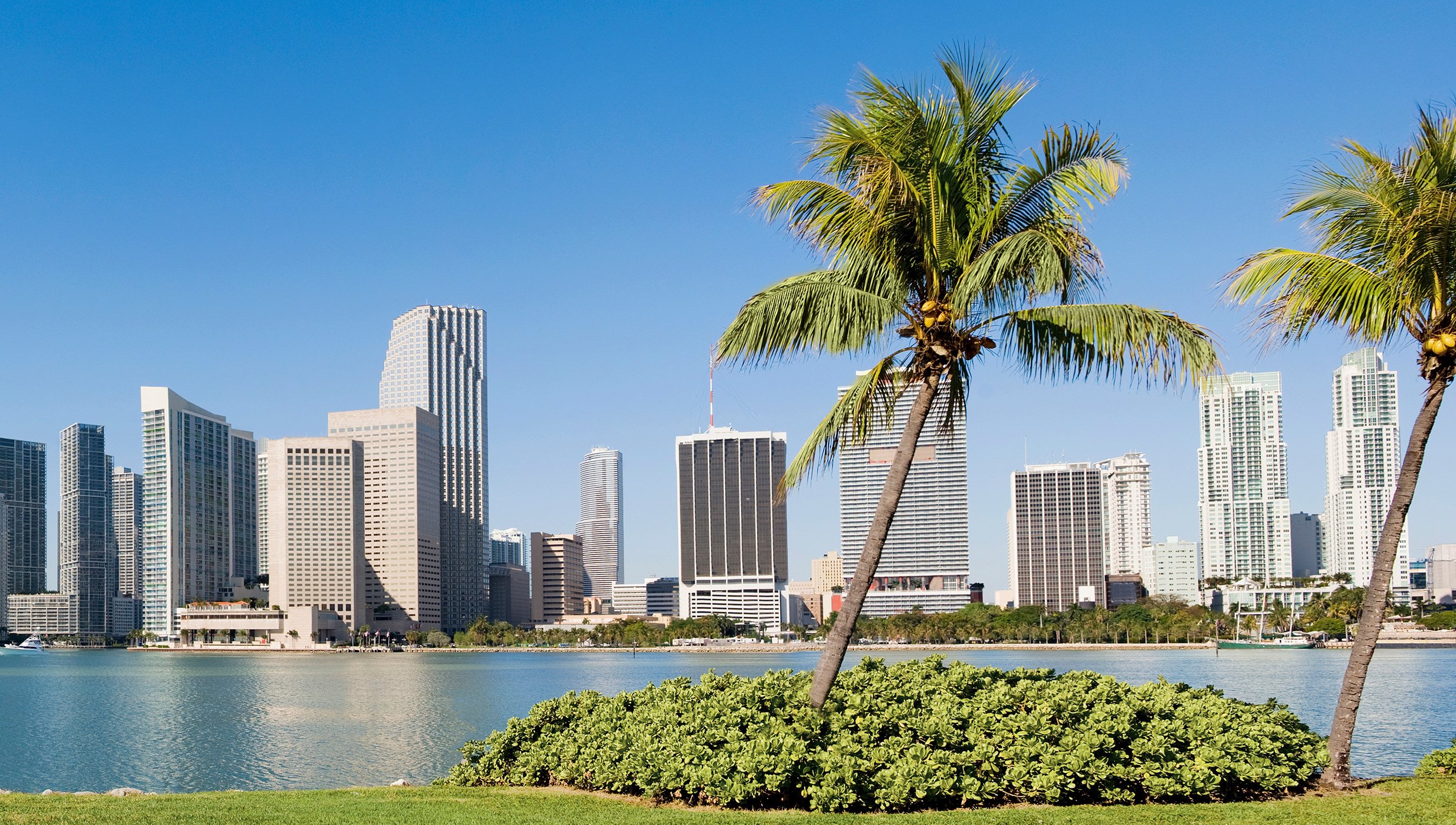 Take in the city skyline and palm trees of Miami, Florida on a cruise from Miami.