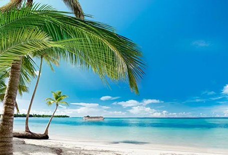 Cruceros desde La Romana | MSC Cruceros